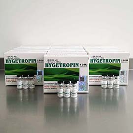 HGH Supplier EU - Wholesale HGH Europe Supplier